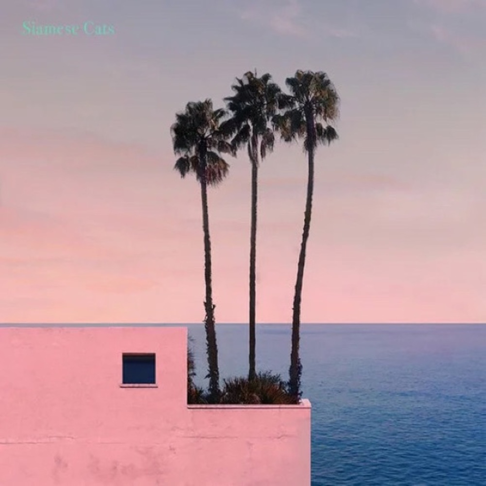 Meet your Posher, Jingwen